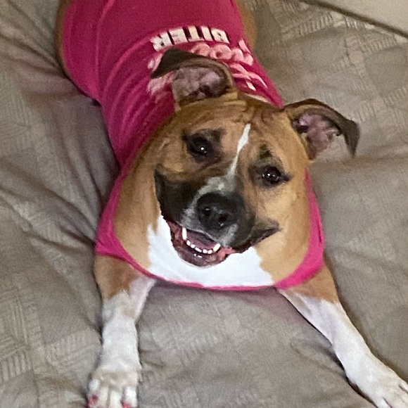 Daisy🌼 - Picture 3 of 4